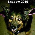 Shadow Squire 2001-2015